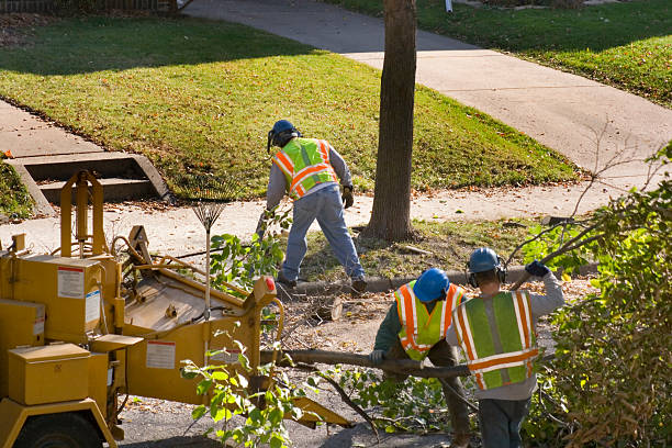 Best Commercial Tree Services  in Richlands, VA